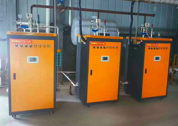 電磁蒸汽發(fā)生器 電磁蒸汽發(fā)生器